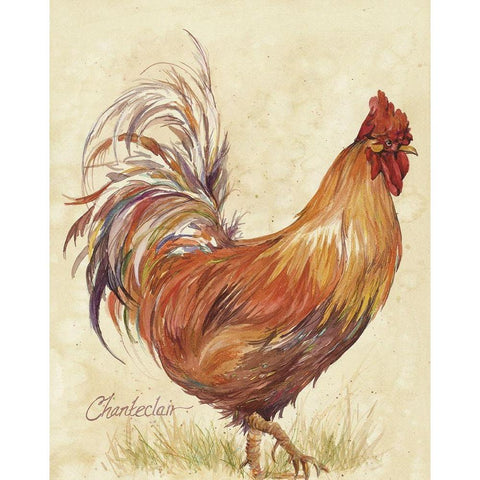 Chanteclair Black Modern Wood Framed Art Print by Unknown