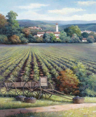 Vineyards I Black Ornate Wood Framed Art Print with Double Matting by Unknown