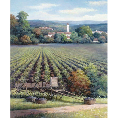 Vineyards I Black Modern Wood Framed Art Print with Double Matting by Unknown