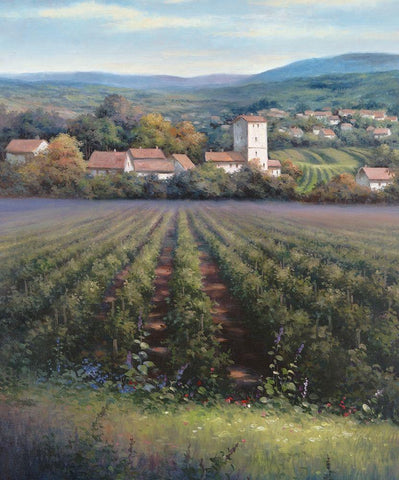 Vineyards II White Modern Wood Framed Art Print with Double Matting by Unknown