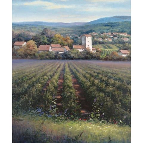 Vineyards II Black Modern Wood Framed Art Print with Double Matting by Unknown
