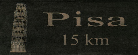 Pisa Black Ornate Wood Framed Art Print with Double Matting by Unknown