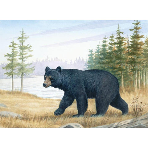 Black Bear Black Modern Wood Framed Art Print by Unknown