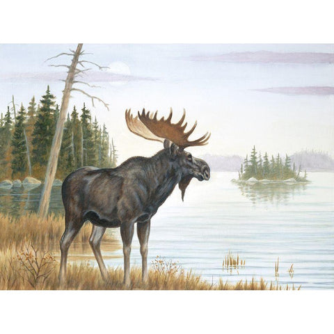 Misty Moose Gold Ornate Wood Framed Art Print with Double Matting by Unknown