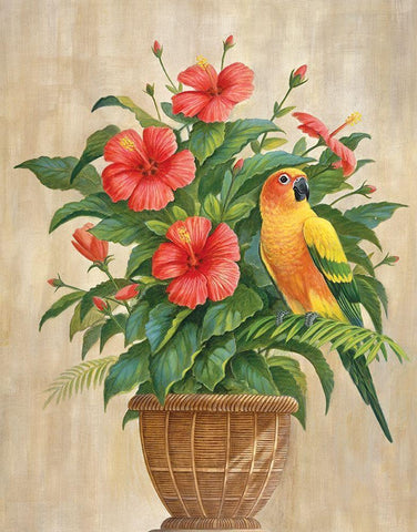 Parrot and Hibiscus Black Ornate Wood Framed Art Print with Double Matting by Unknown