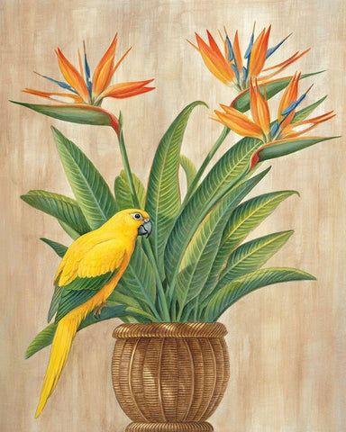 Parrot and Passion White Modern Wood Framed Art Print with Double Matting by Unknown