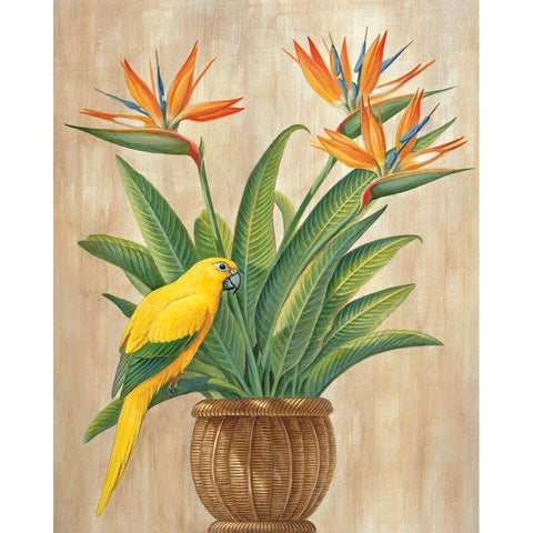 Parrot and Passion Black Modern Wood Framed Art Print by Unknown