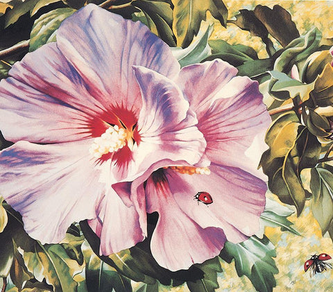Orchid White Modern Wood Framed Art Print with Double Matting by Unknown
