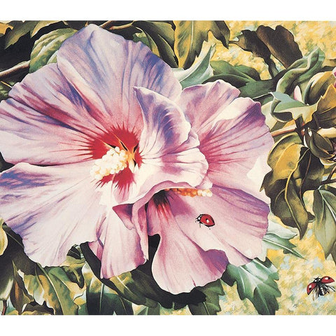 Orchid White Modern Wood Framed Art Print by Unknown