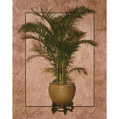 Potted Palm I White Modern Wood Framed Art Print by Unknown