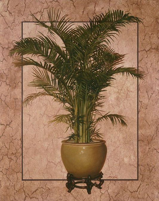 Image Only
