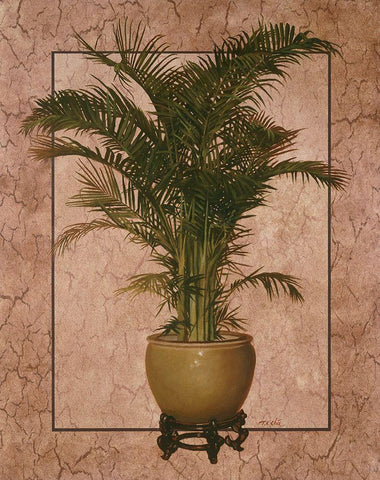 Potted Palm I Black Ornate Wood Framed Art Print with Double Matting by Unknown