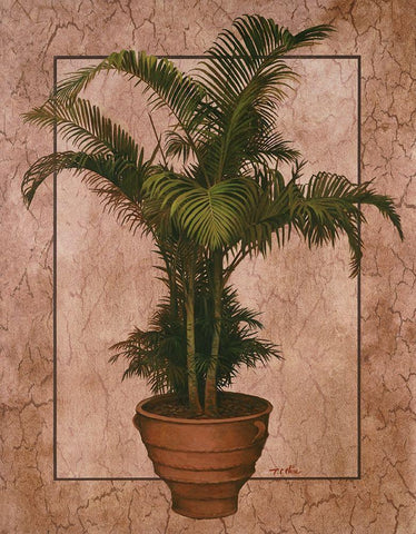 Potted Palm II White Modern Wood Framed Art Print with Double Matting by Unknown