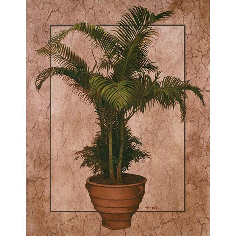 Potted Palm II Gold Ornate Wood Framed Art Print with Double Matting by Unknown