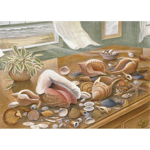 Seashells I Black Modern Wood Framed Art Print with Double Matting by Unknown