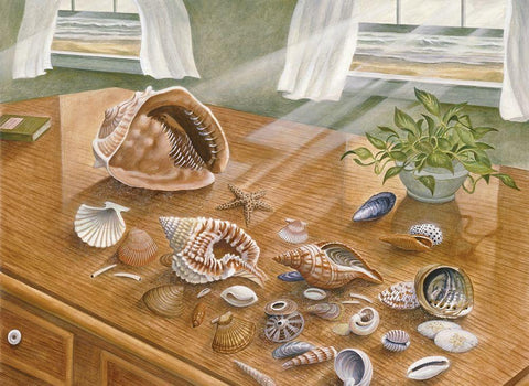 Seashells II White Modern Wood Framed Art Print with Double Matting by Unknown