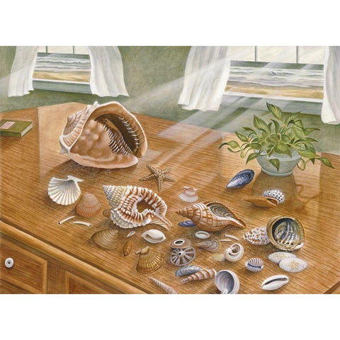 Seashells II White Modern Wood Framed Art Print by Unknown