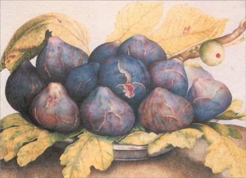 Figs Black Ornate Wood Framed Art Print with Double Matting by Unknown