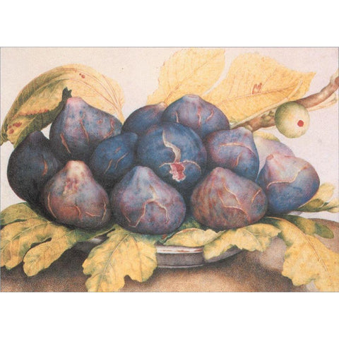 Figs White Modern Wood Framed Art Print by Unknown