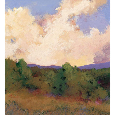 Meadows Black Modern Wood Framed Art Print with Double Matting by Unknown