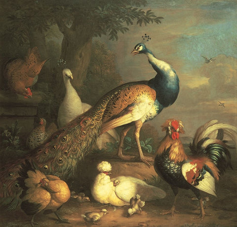 Peacock And Friends White Modern Wood Framed Art Print with Double Matting by Unknown