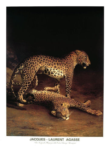 Twp Leopards White Modern Wood Framed Art Print with Double Matting by Agasse, Jacques-Laurent