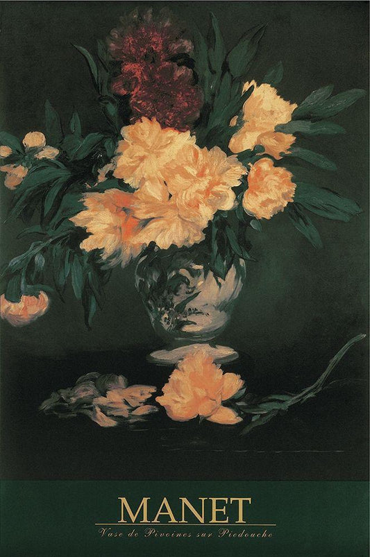 Image Only
