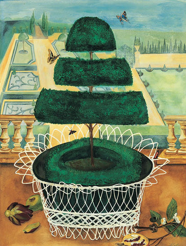 Topiary I White Modern Wood Framed Art Print with Double Matting by Unknown