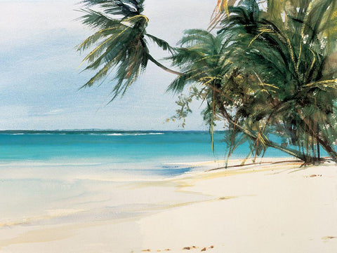 Palm Trees II White Modern Wood Framed Art Print with Double Matting by Unknown