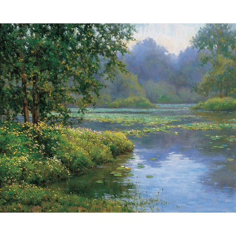 Lilypads White Modern Wood Framed Art Print by Unknown