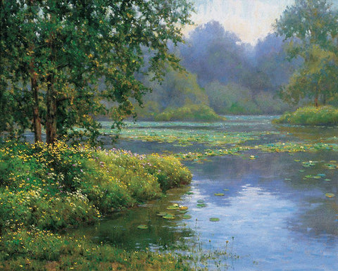 Lilypads White Modern Wood Framed Art Print with Double Matting by Unknown