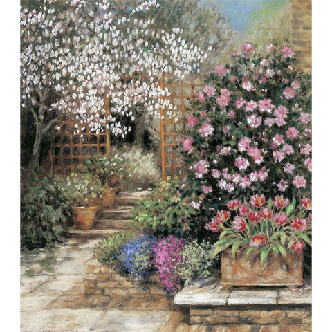 Garden Paradise Black Modern Wood Framed Art Print with Double Matting by Unknown