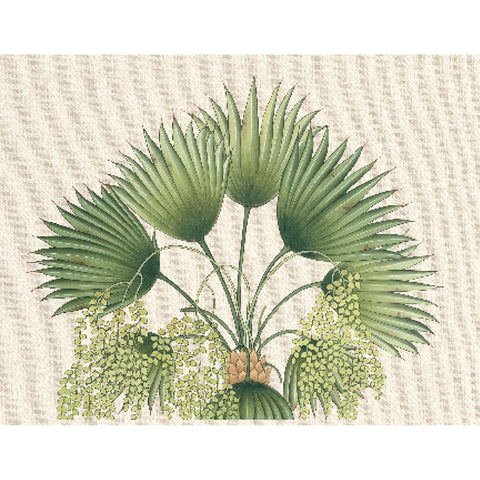 Palm Fronds II Black Modern Wood Framed Art Print with Double Matting by Unknown