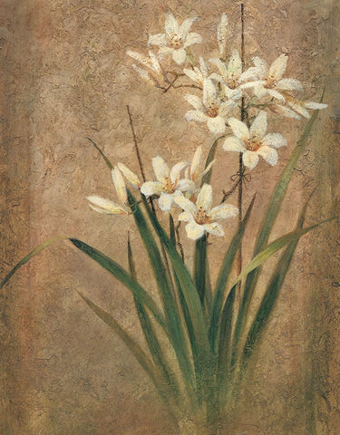 White Lilies II Black Modern Wood Framed Art Print by Unknown