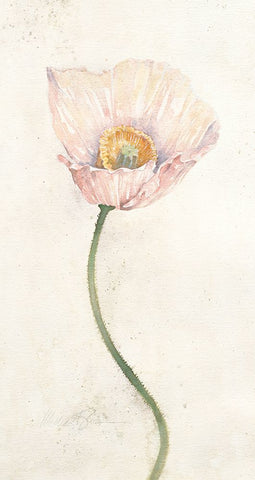 Budding Flower I White Modern Wood Framed Art Print with Double Matting by Unknown