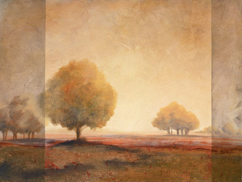 Golden Trees II White Modern Wood Framed Art Print with Double Matting by Unknown