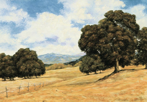 Golden Pasture White Modern Wood Framed Art Print with Double Matting by Unknown