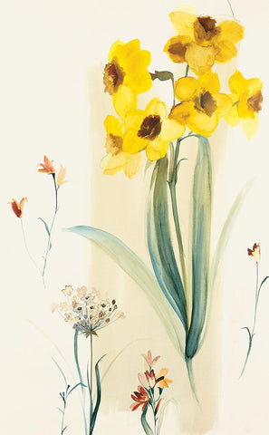 Modern Daffodils White Modern Wood Framed Art Print with Double Matting by Unknown