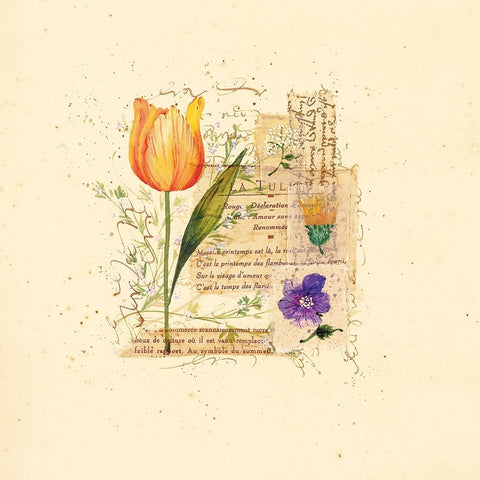 Parisian Tulip I Black Modern Wood Framed Art Print by Unknown