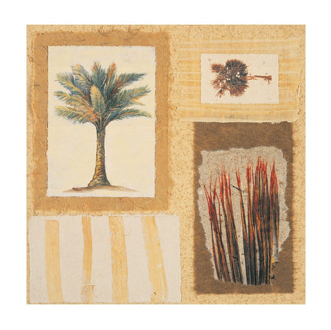 Palm Collage I White Modern Wood Framed Art Print with Double Matting by Unknown