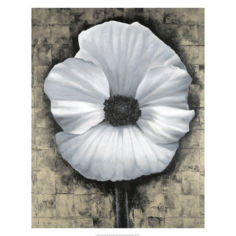 Poppies I Black Modern Wood Framed Art Print with Double Matting by Unknown