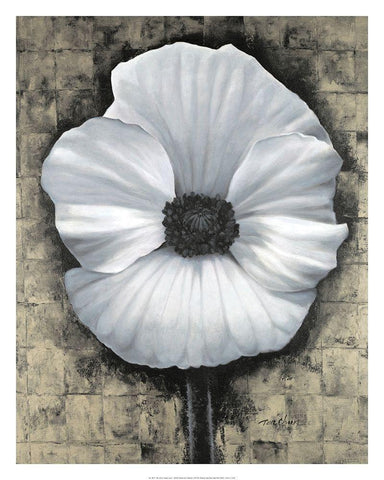 Poppies I White Modern Wood Framed Art Print with Double Matting by Unknown