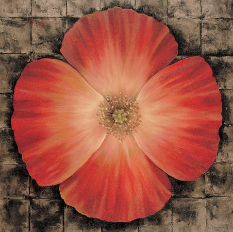 Red Poppy I Black Ornate Wood Framed Art Print with Double Matting by Unknown