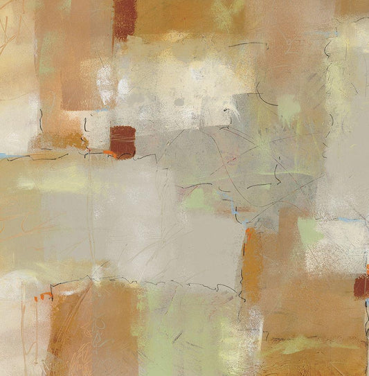Image Only