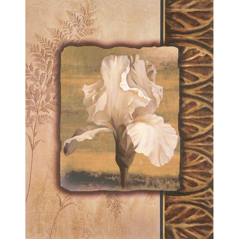 White Iris Gold Ornate Wood Framed Art Print with Double Matting by Unknown