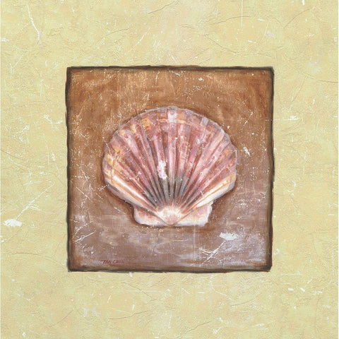 Sea Shell Black Modern Wood Framed Art Print by Unknown