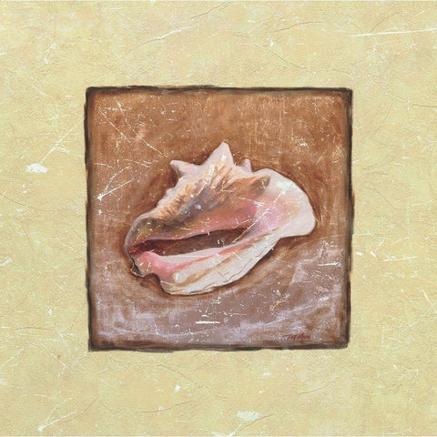 Conch Shell Black Modern Wood Framed Art Print by Unknown