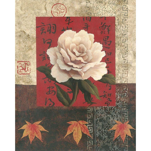 White Chinese Rose Black Modern Wood Framed Art Print with Double Matting by Unknown