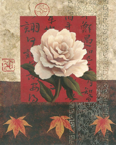 White Chinese Rose White Modern Wood Framed Art Print with Double Matting by Unknown