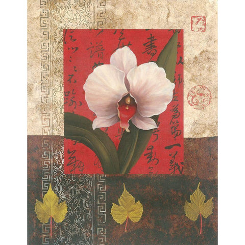 White Chinese Orchid White Modern Wood Framed Art Print by Unknown